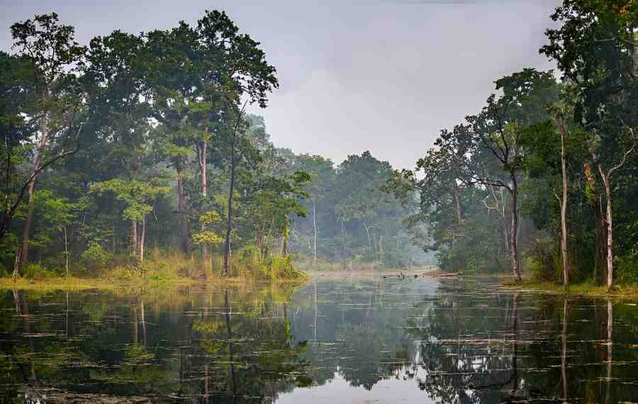 Chitwan National Park